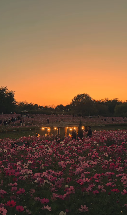 하늘공원-억새축제-서울정원박람회