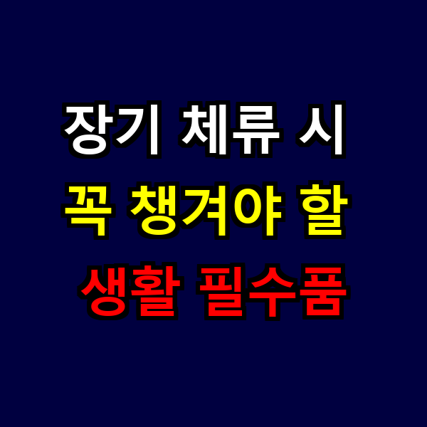 장기 체류 시 꼭 챙겨야 할 생활 필수품