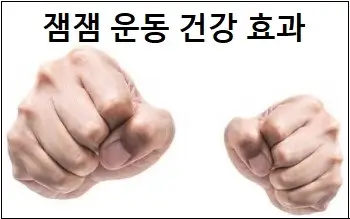 잼잼 운동 건강 효과