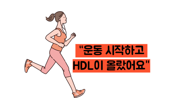 hdl콜레스테롤 정상수치