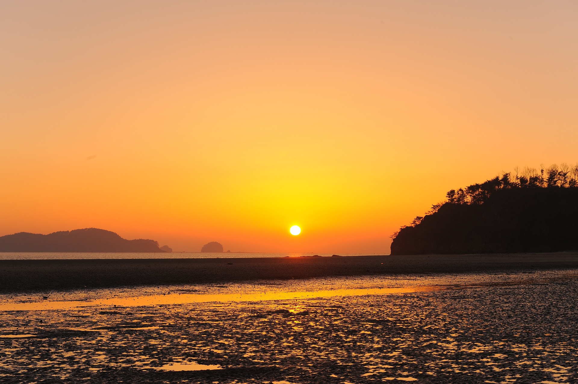 4월 꽃구경가볼만한 곳
