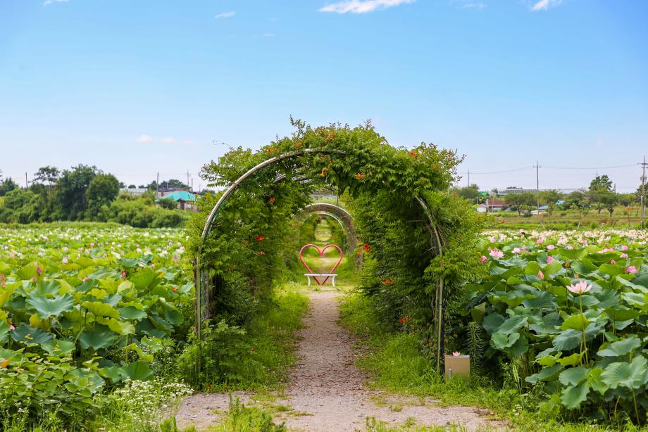 합덕농촌테마공원: 농촌의 정취와 체험