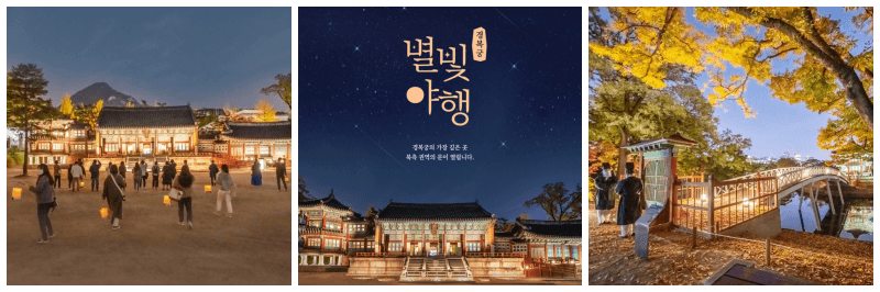 경복궁 별빛야행 포토&#44; 포스터