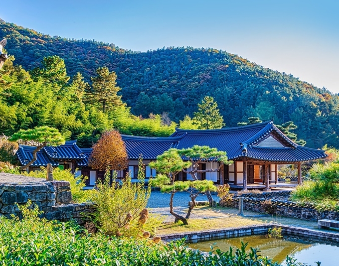 전북구이 안덕 건강 힐링 센터