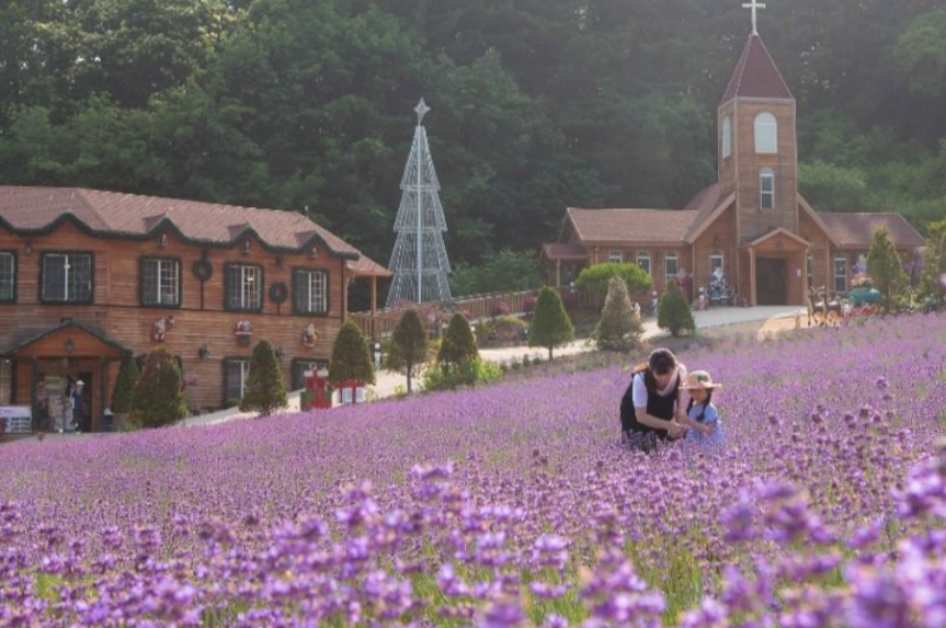 포천 허브아일랜드