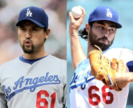 미치 화이트 박찬호