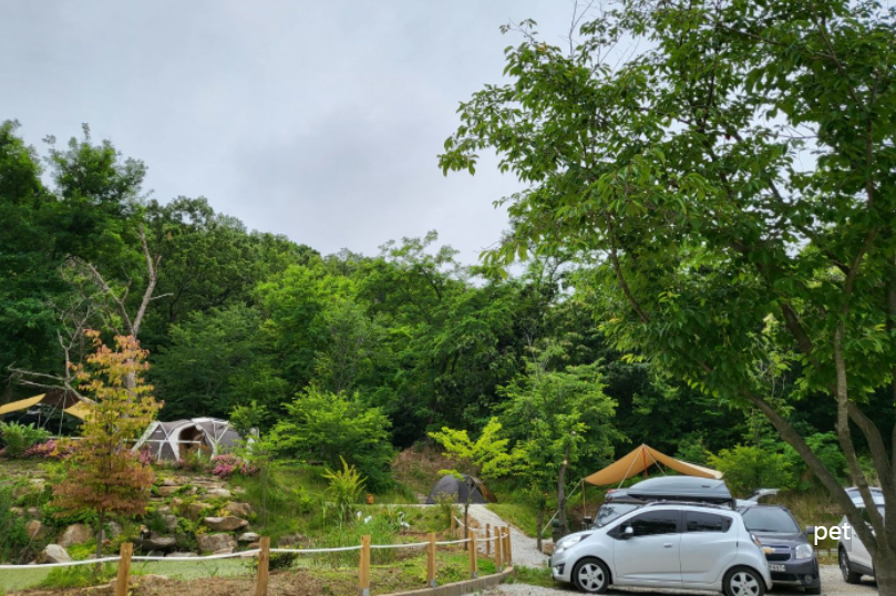 경기-인천-아르보리아-사르데냐-캠핑장-예약-방법-애견-동반-가격-주소-시간-후기