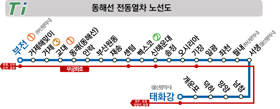 교대역 동해선 시간표