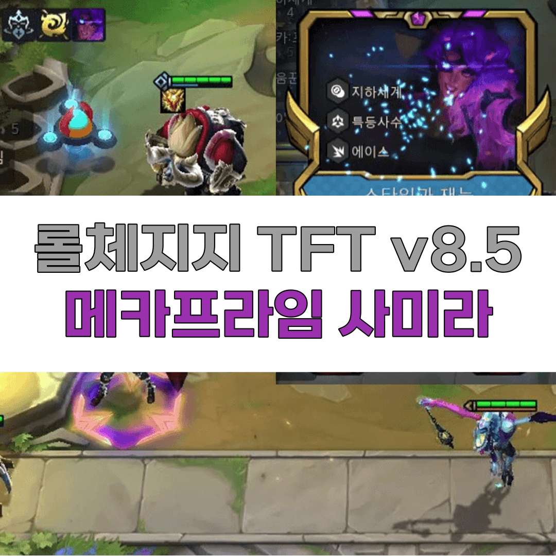 롤체지지