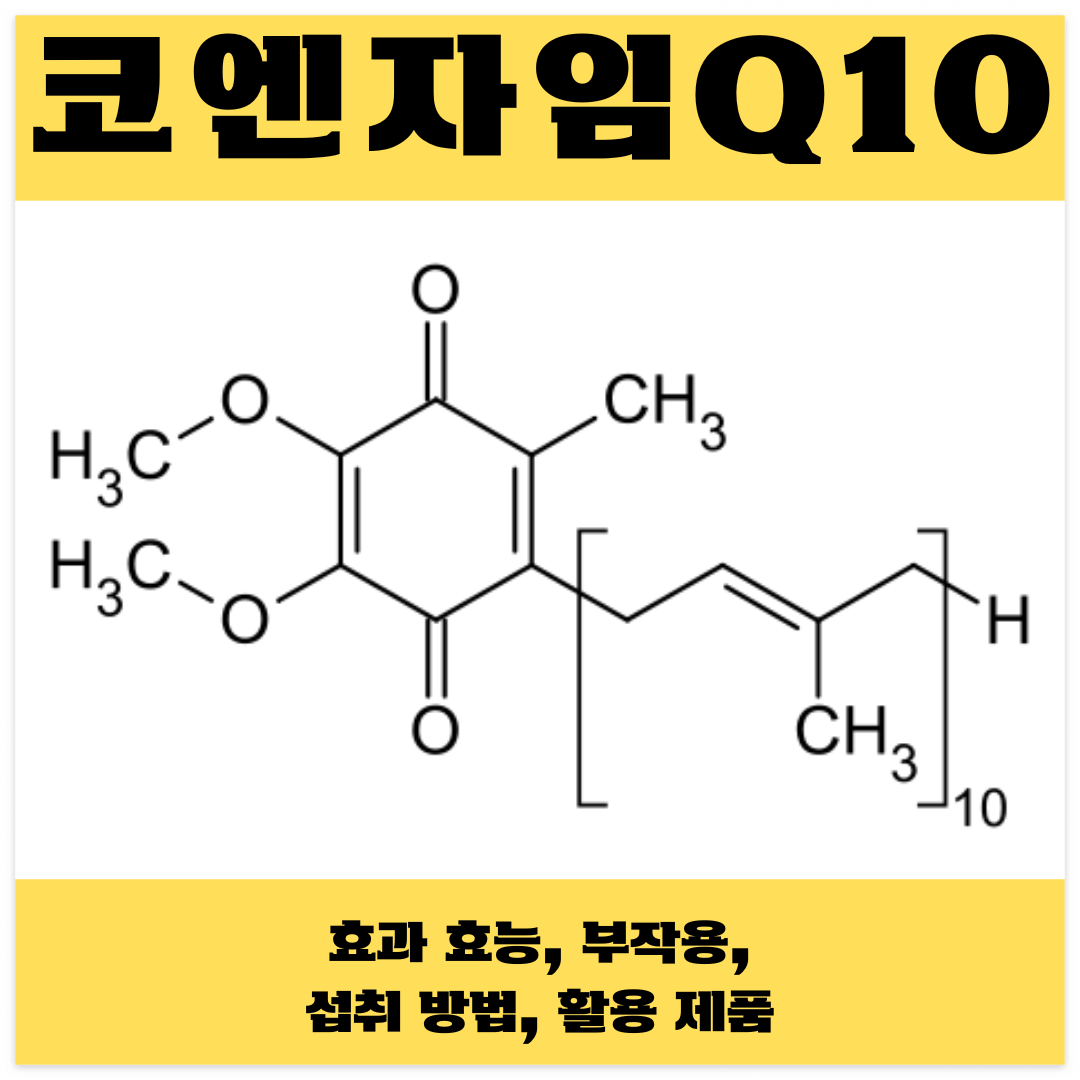 코엔자임 Q10