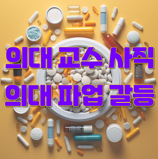 의대 교수 사직 파업 정부 대응