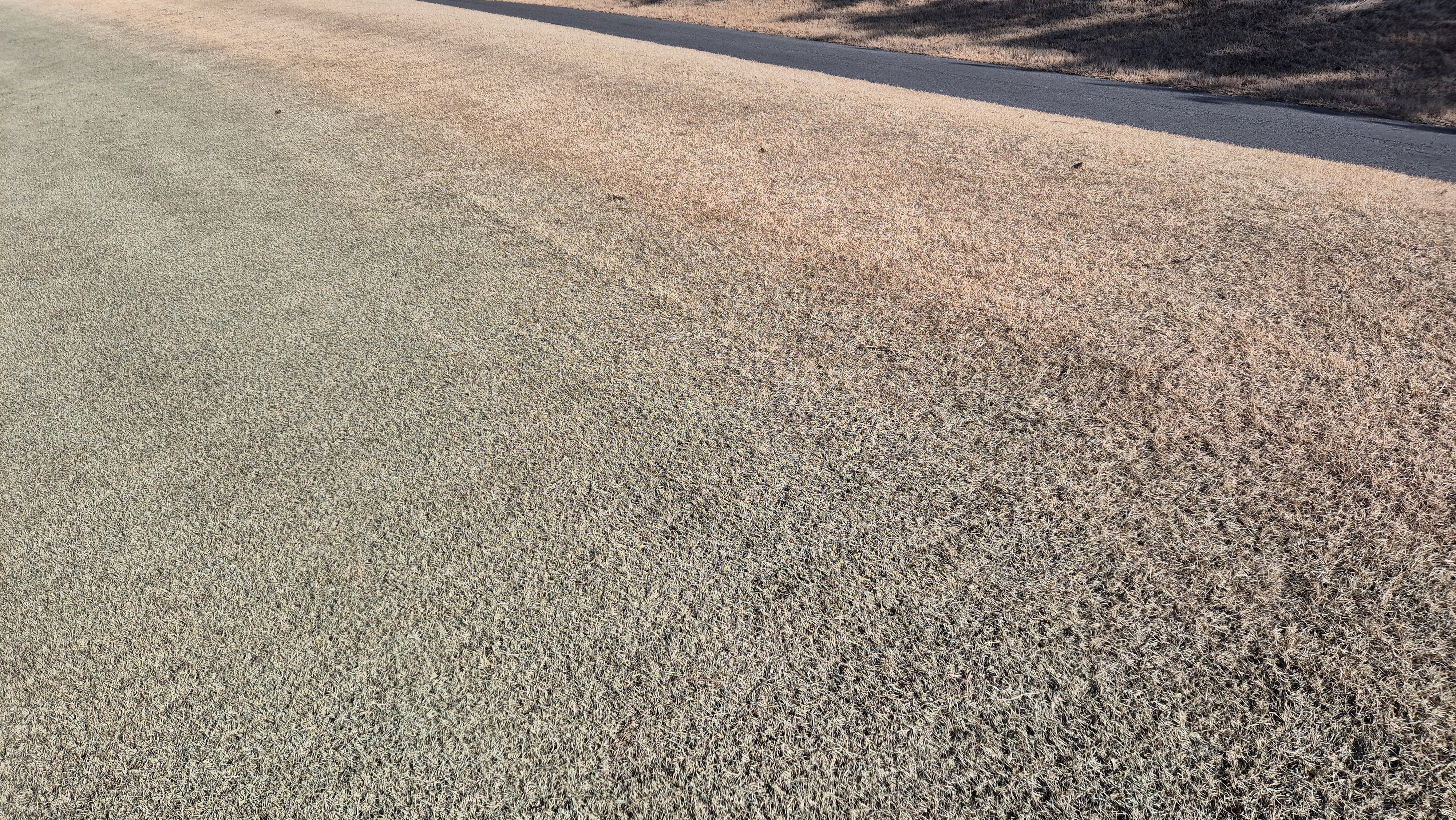 더크로스비gc 아리아-샬롯 코스 관리상태