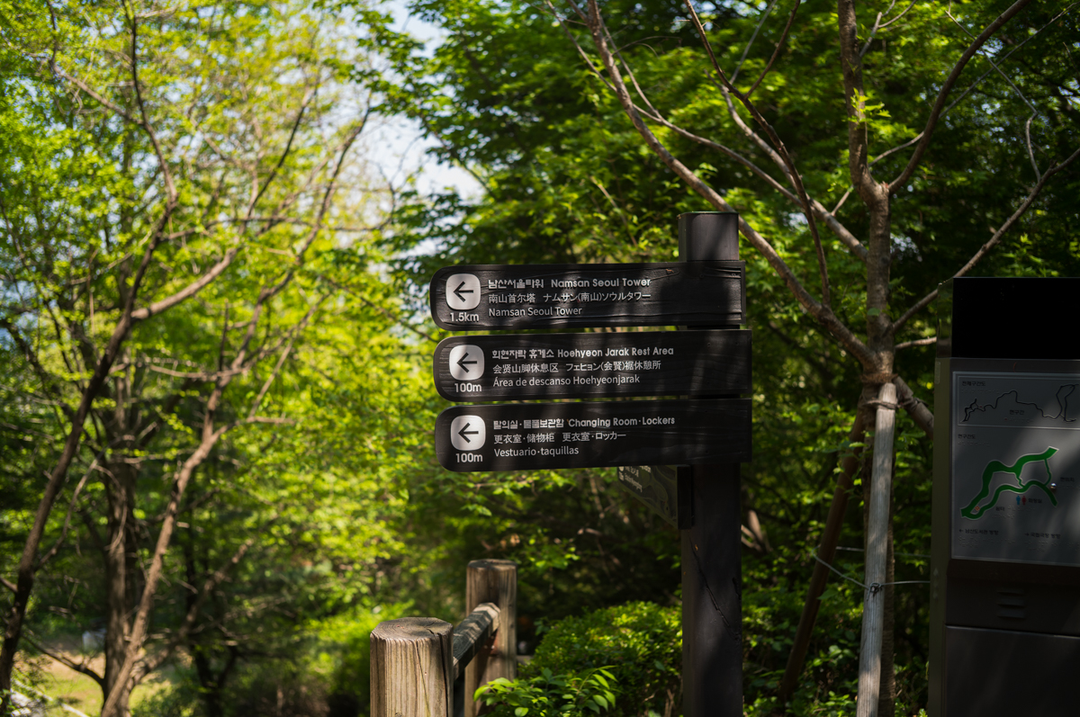 라이카 M11 남산 스냅