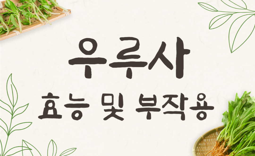 우루사 100mg vs 200mg 차이점, 효능·부작용·복용법 처방까지