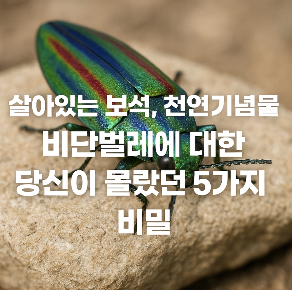 살아있는 보석, 천연기념물 비단벌레에 대한 당신이 몰랐던 5가지 비밀