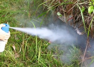 명절 벌초 방법