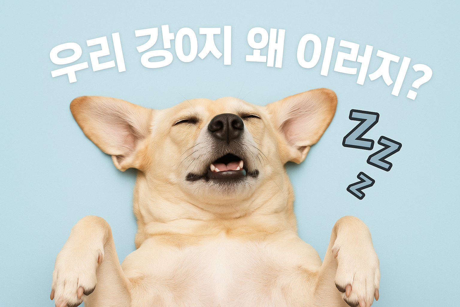 Alt 속성 문제 해결 설명 이미지