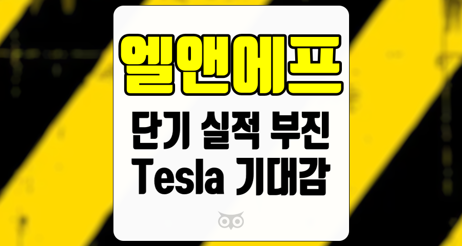 엘앤에프, 단기 실적 부진 속에서 이어지는 기대감