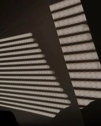 북서향 창문 식물 선택 저광량관리 물주기 식물등 세팅 가이드_6