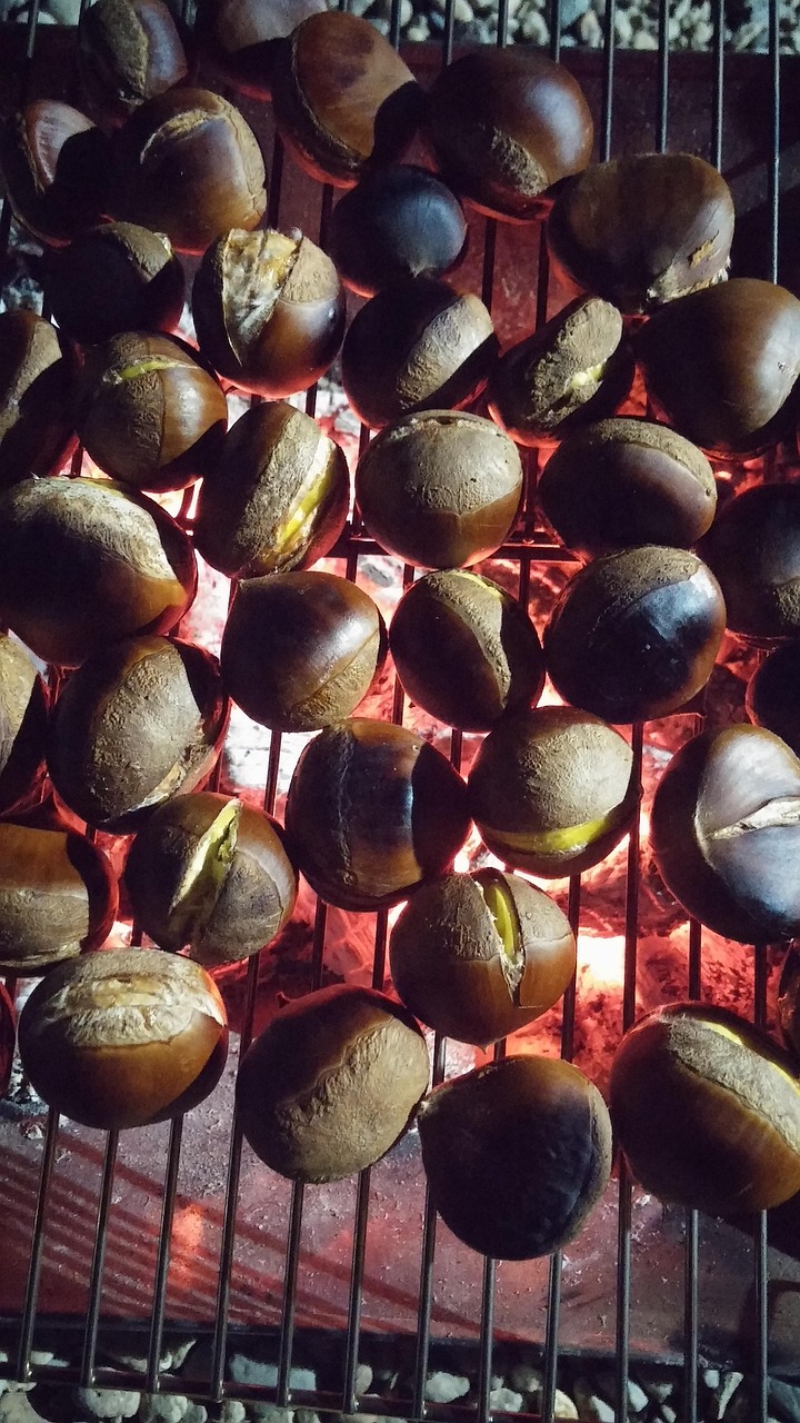 구이망 위에서 빨간 불꽃으로 구워지고 있는 칼집 낸 밤들