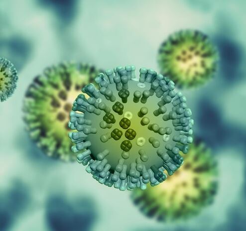 독감-바이러스-현미경-확대-사진