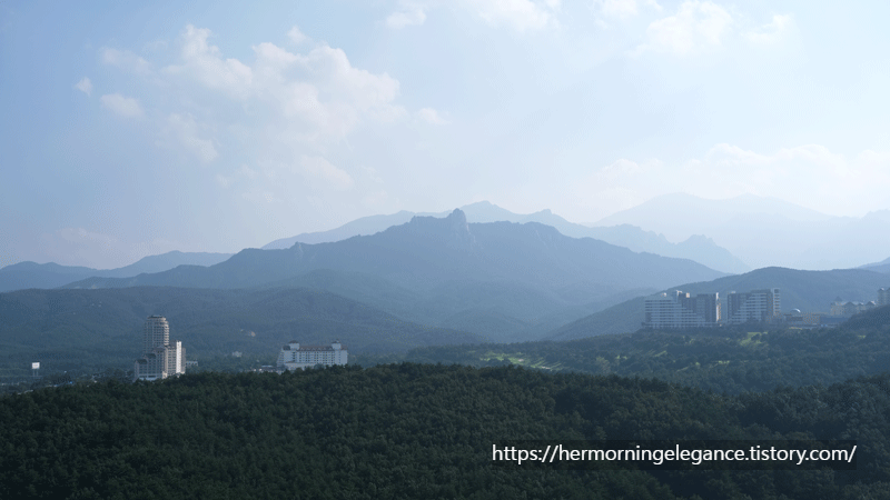 2023세계산림엑스포