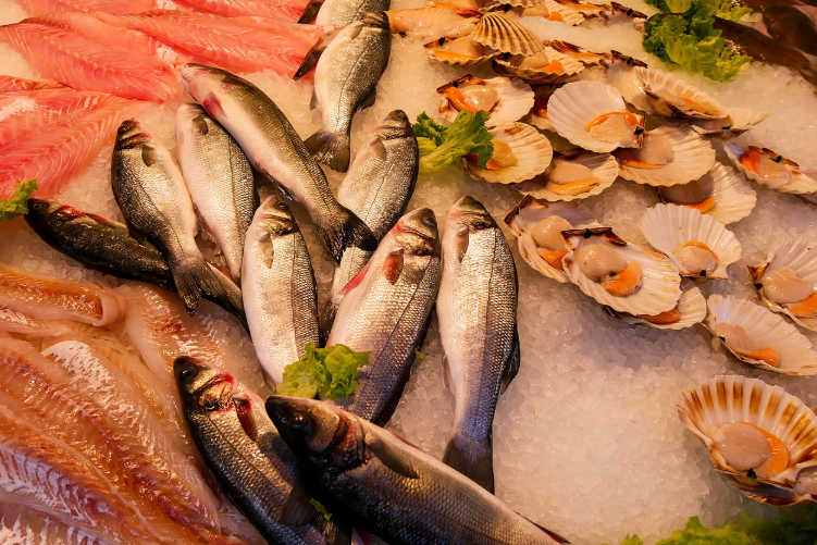 해산물이 중심이 된 요리의 나라들 : 바다의 선물을 맛보다