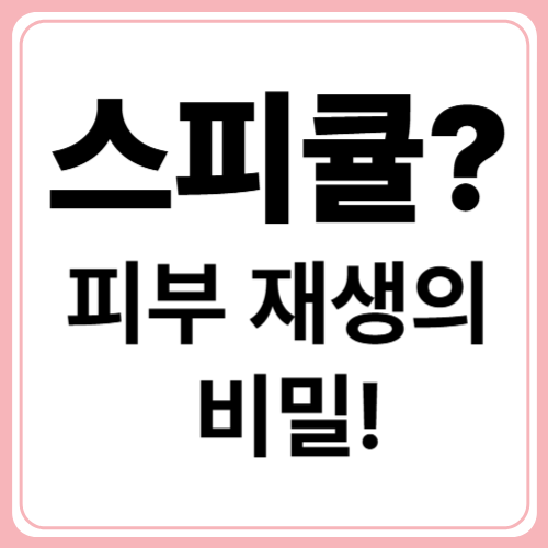 스피큘 효과 완벽 분석! 피부 재생과 탄력 개선 비밀 공개