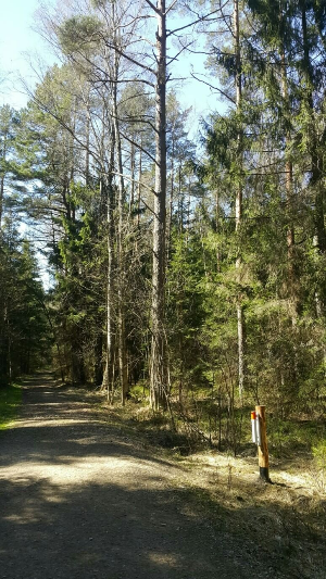 'Ķemeru nacionālais parks'