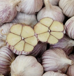 마늘 절단한모습