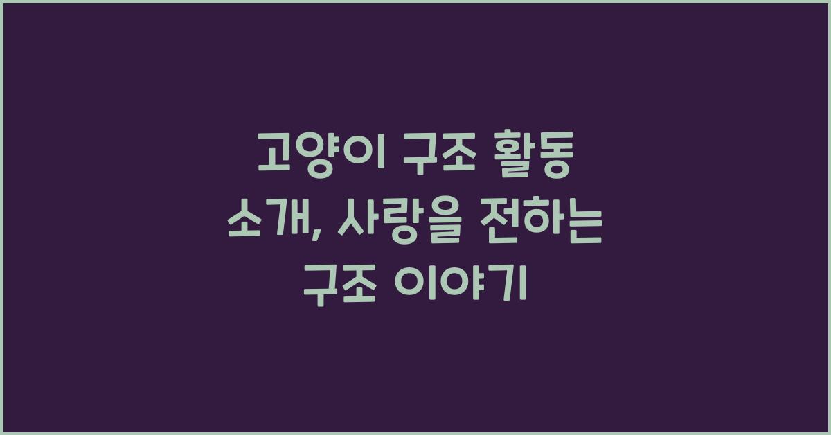 고양이 구조 활동 소개
