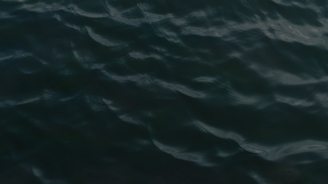 Surge