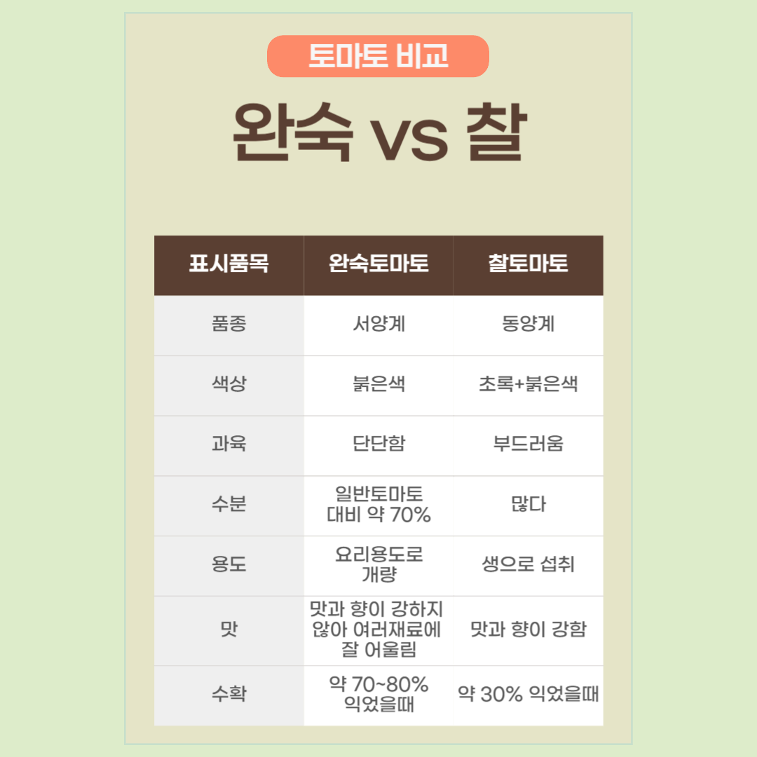 토마토 효능 3가지 (토마토, 토마토 다이어트, 토마토 종류, 변비 예방)2