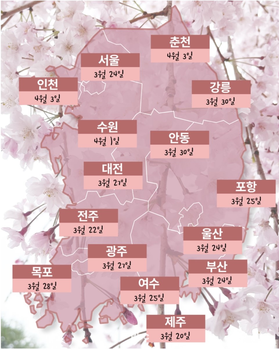 벚꽃지도-by-KBC