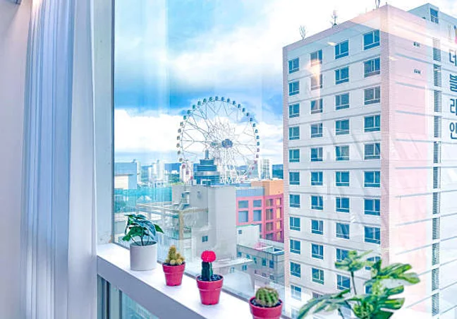 법무법인솔루션 회생 이혼 울산변호사사무소