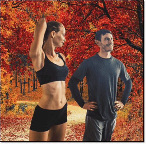 갈색 지방 기능