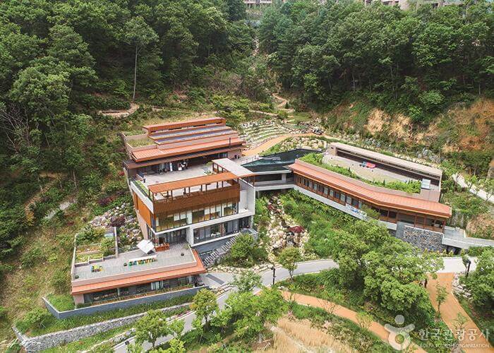 디톡스 여행 추천지_영주 국립산림치유원, 충주 깊은산속 옹달샘, 정선 파크로쉬, 홍천 힐리언스 선마을