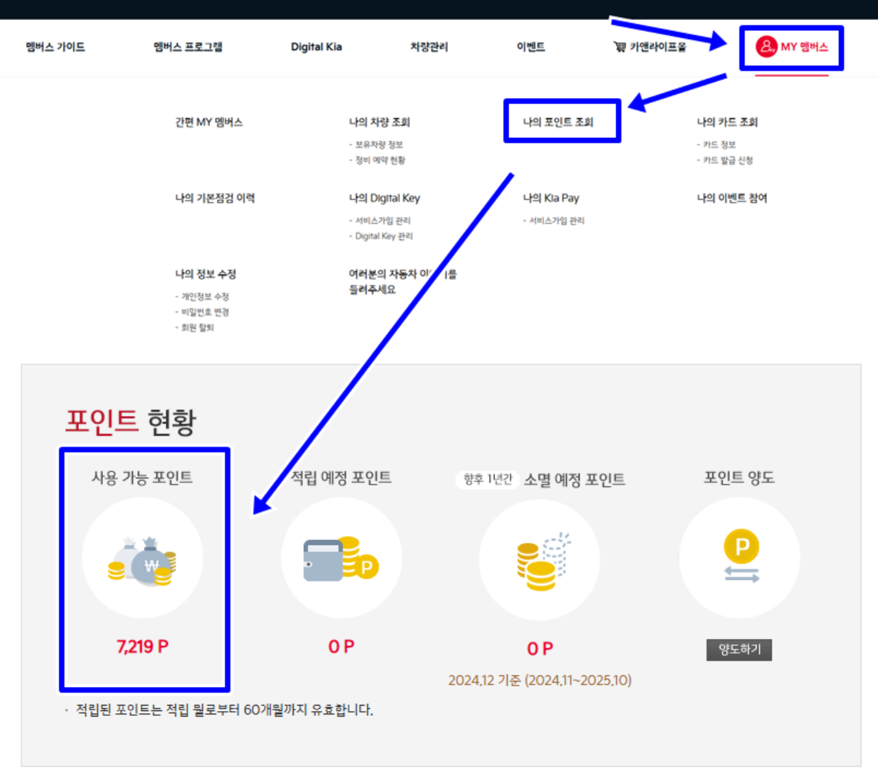 기아 포인트 조회