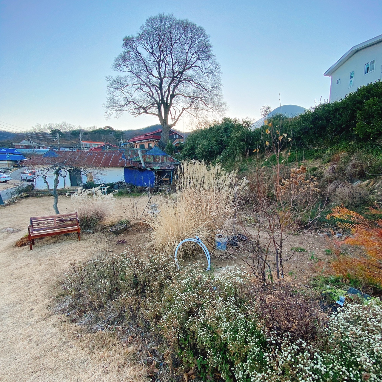 강화도 야생화 뜰 카페