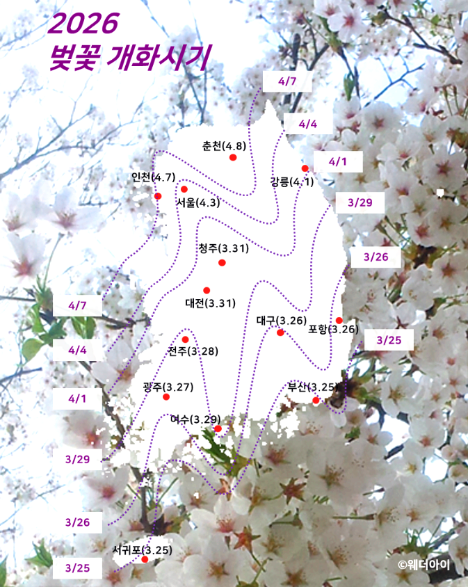 벚꽃 개화시기