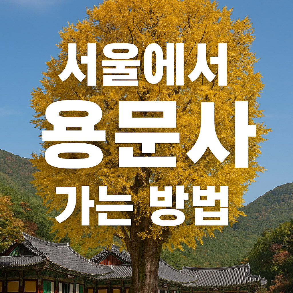 서울에서 용문사 가는 방법 총정리 (기차&middot;지하철 이용 꿀팁)