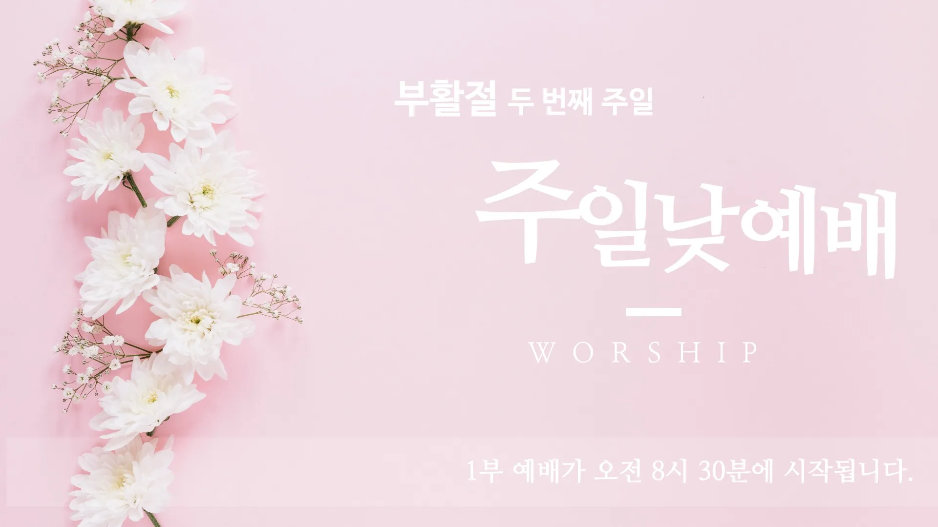 봄 주일예배 ppt 배경화면 꽃 이미지_5