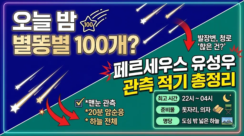 별똥별 페르세우스 유성우 관측 적기 이미지