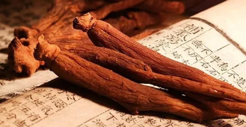 홍삼의 힘&#44; 건강을 위한 자연의 선물