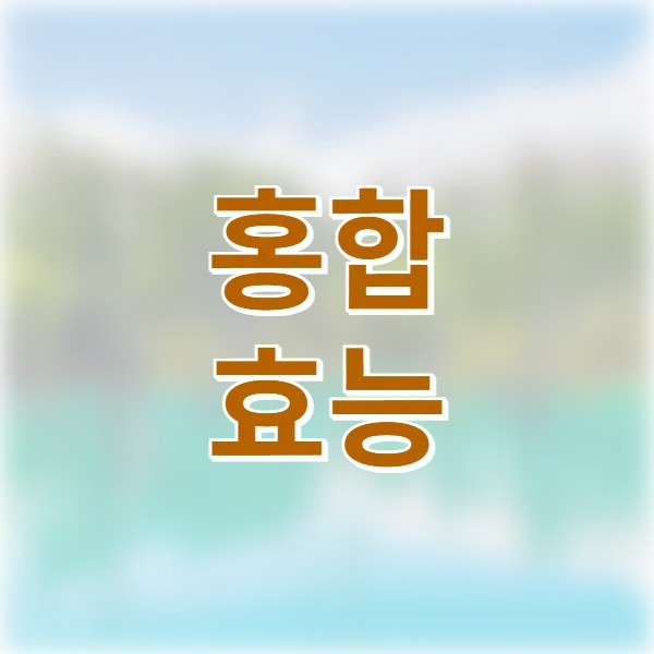 홍합 효능