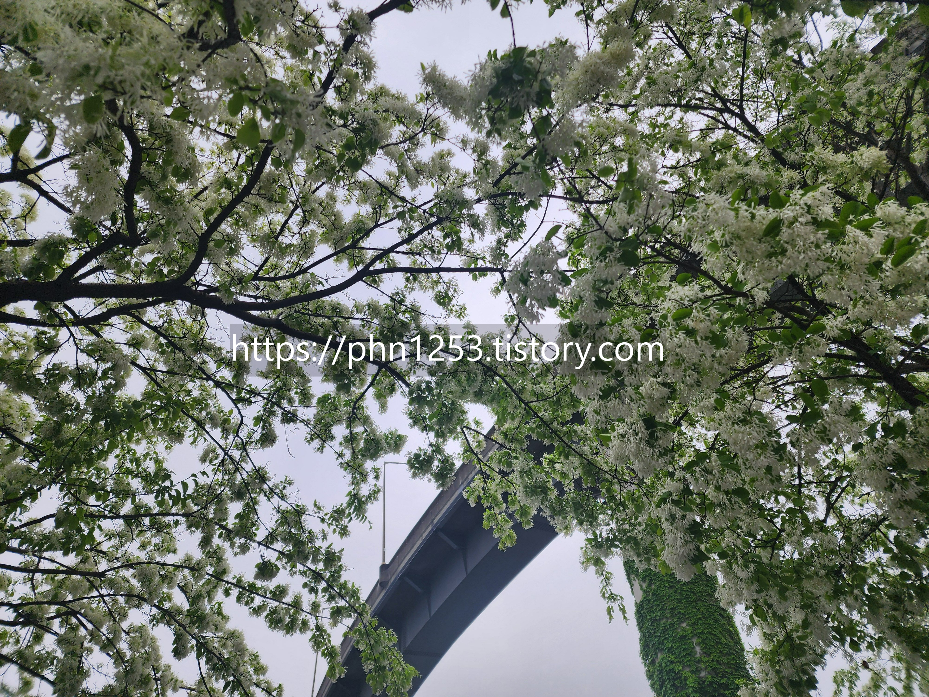 Alt 속성 문제 해결 설명 이미지