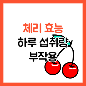체리 효능 하루 섭취량 부작용 썸네일