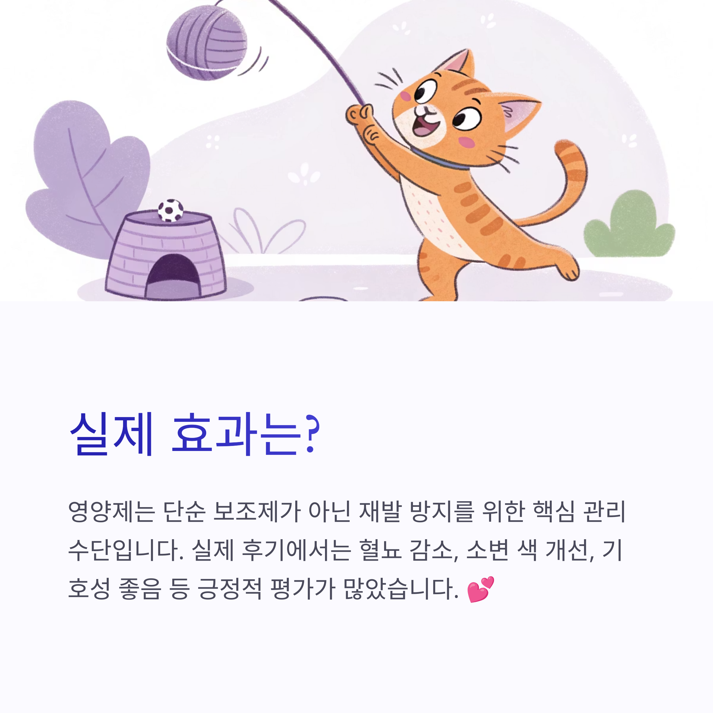 실제 효과는?