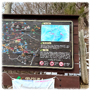 능동산