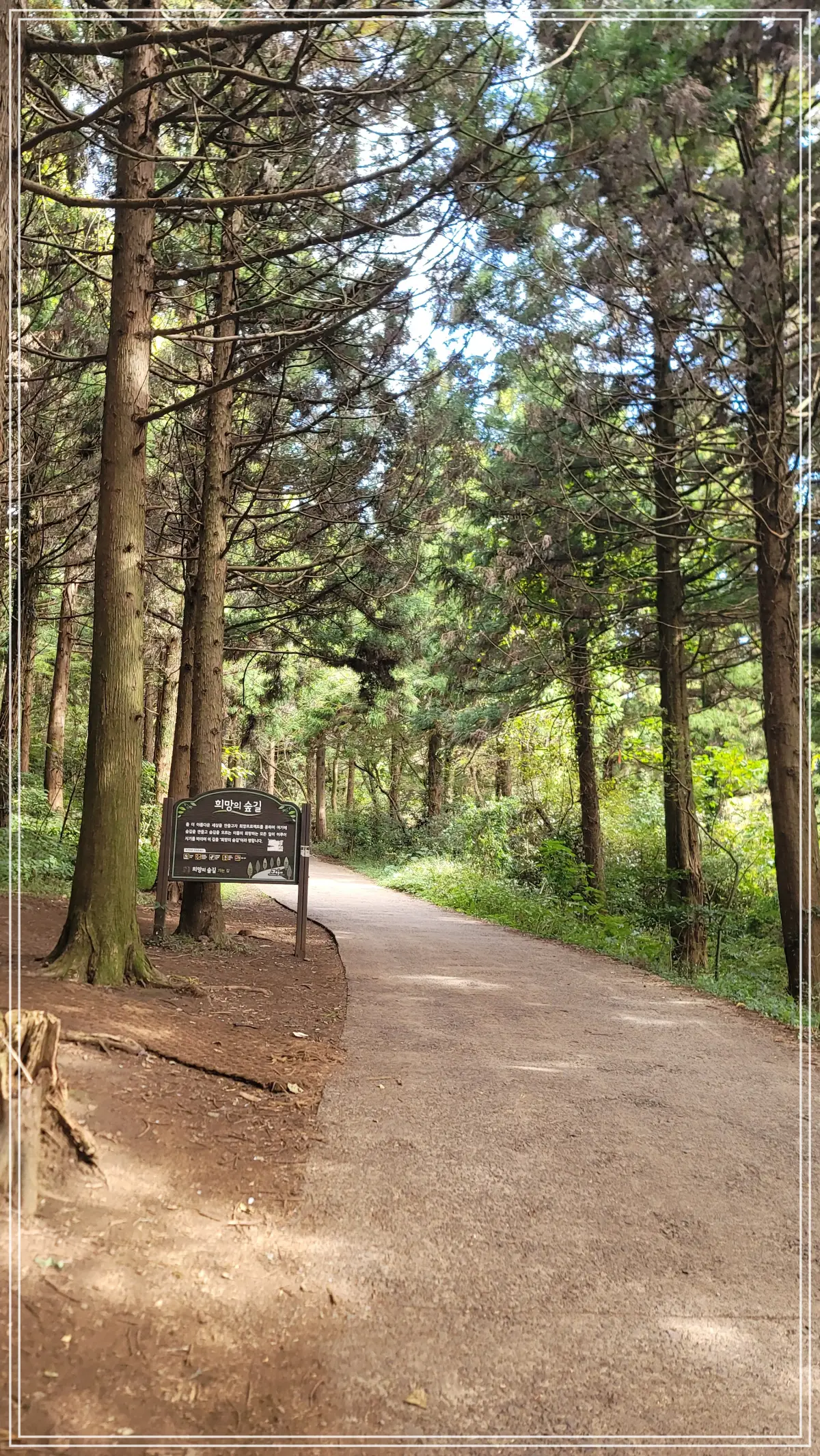 등산로